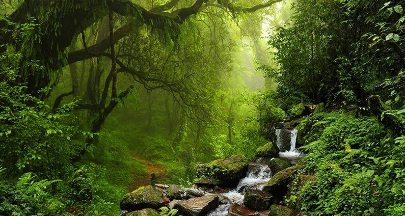 Doğa Turizmine İlgi Her Geçen Gün Artıyor